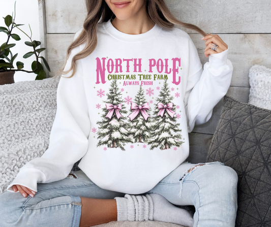 North Pole Crewneck Sweatshirt